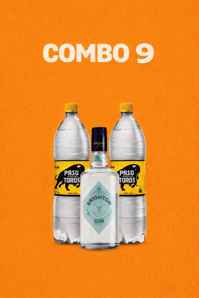 Combo 9 (Gin Brighton + 2 paso de los toros 1,5L)