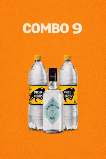 Combo 9 (Gin Brighton + 2 paso de los toros 1,5L)
